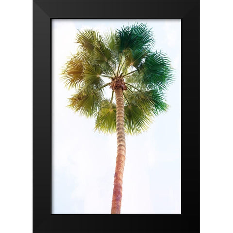 Palmetto I Black Modern Wood Framed Art Print by Hartson-Weddle, Ryan