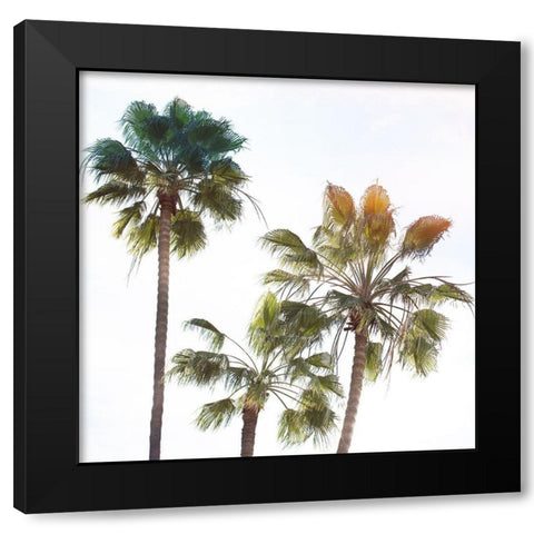 Palmetto III Black Modern Wood Framed Art Print by Hartson-Weddle, Ryan