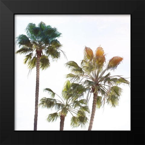 Palmetto III Black Modern Wood Framed Art Print by Hartson-Weddle, Ryan