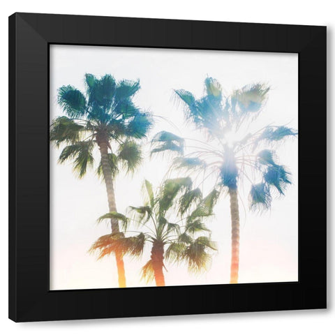 Palmetto IV Black Modern Wood Framed Art Print by Hartson-Weddle, Ryan