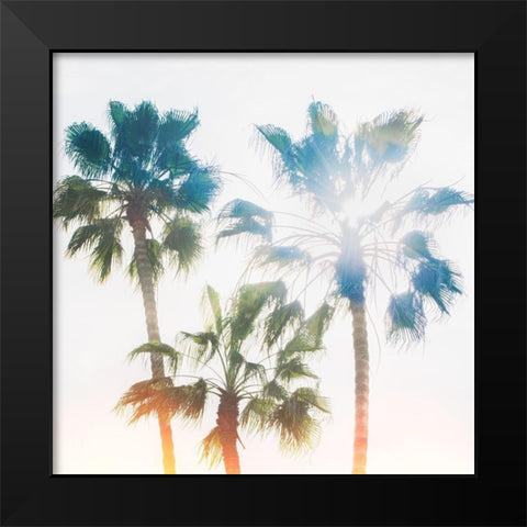 Palmetto IV Black Modern Wood Framed Art Print by Hartson-Weddle, Ryan