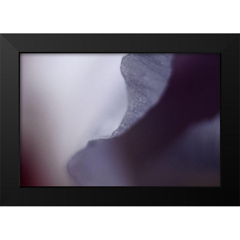 Haunting I Black Modern Wood Framed Art Print by Stalus, Judy