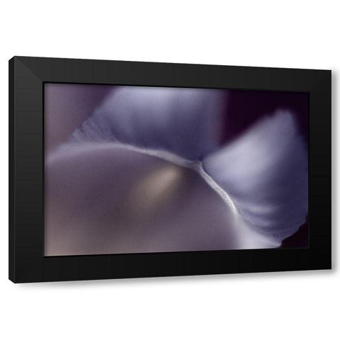 Haunting II Black Modern Wood Framed Art Print with Double Matting by Stalus, Judy