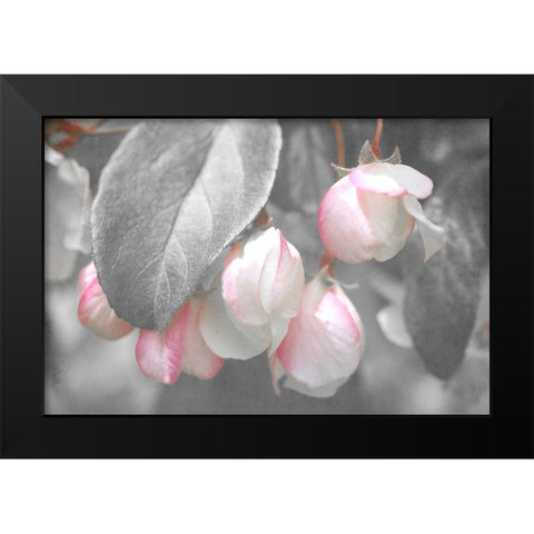 Gray Velvet I Black Modern Wood Framed Art Print by Stalus, Judy