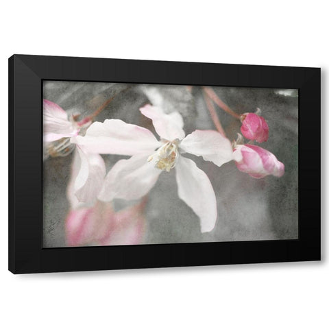 Gray Velvet II Black Modern Wood Framed Art Print with Double Matting by Stalus, Judy