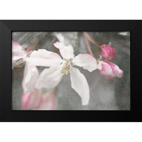 Gray Velvet II Black Modern Wood Framed Art Print by Stalus, Judy