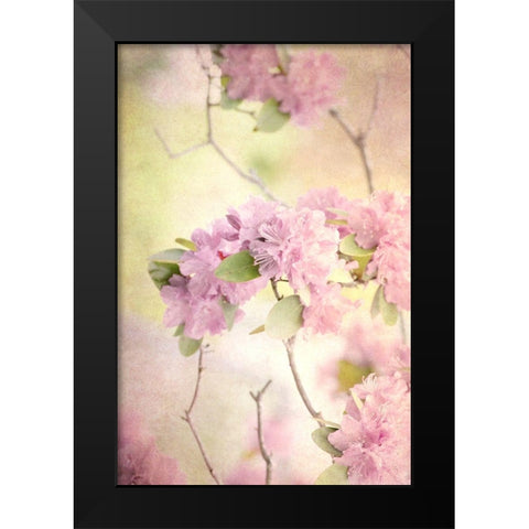 Reaching for the Sky I Black Modern Wood Framed Art Print by Stalus, Judy