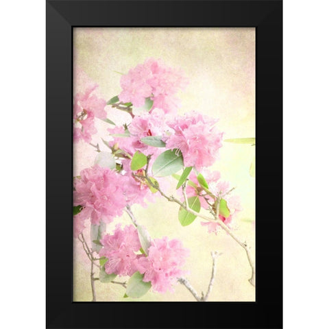 Reaching for the Sky II Black Modern Wood Framed Art Print by Stalus, Judy