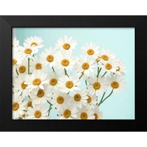 Daisy Love II Black Modern Wood Framed Art Print by Stalus, Judy
