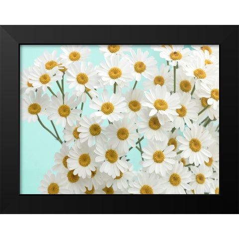 Daisy Love III Black Modern Wood Framed Art Print by Stalus, Judy