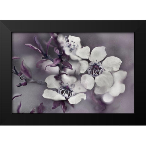 Tales from an Enchanted Glen I Black Modern Wood Framed Art Print by Hunt, Gillian