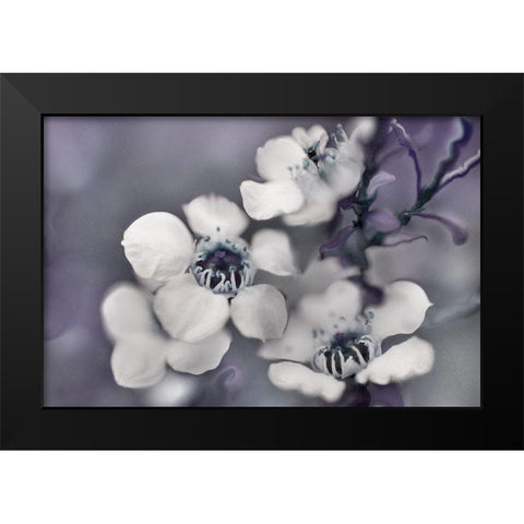 Tales from an Enchanted Glen II Black Modern Wood Framed Art Print by Hunt, Gillian