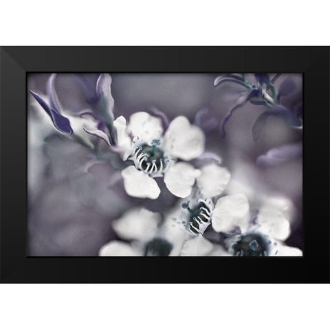 Tales from an Enchanted Glen III Black Modern Wood Framed Art Print by Hunt, Gillian