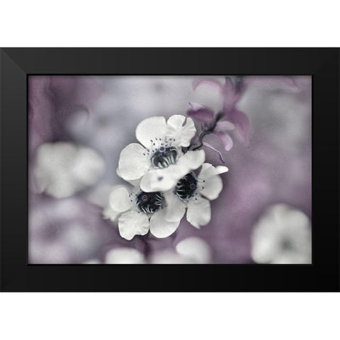 Tales from an Enchanted Glen IV Black Modern Wood Framed Art Print by Hunt, Gillian