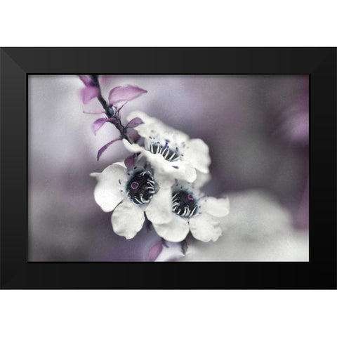 Tales from an Enchanted Glen V Black Modern Wood Framed Art Print by Hunt, Gillian