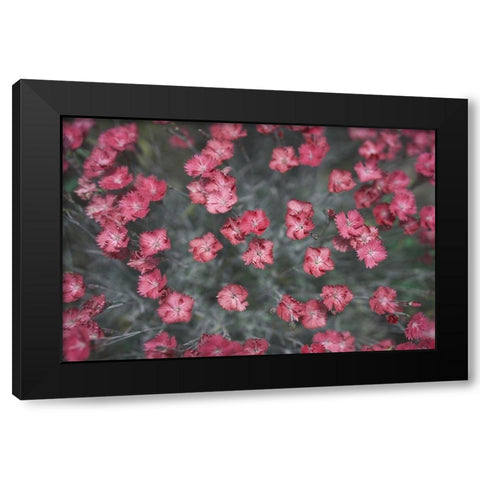 Natures Textures I Black Modern Wood Framed Art Print with Double Matting by Stramel, Renee W.