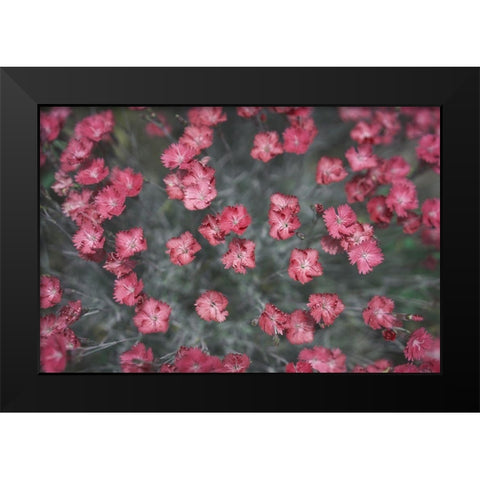 Natures Textures I Black Modern Wood Framed Art Print by Stramel, Renee W.