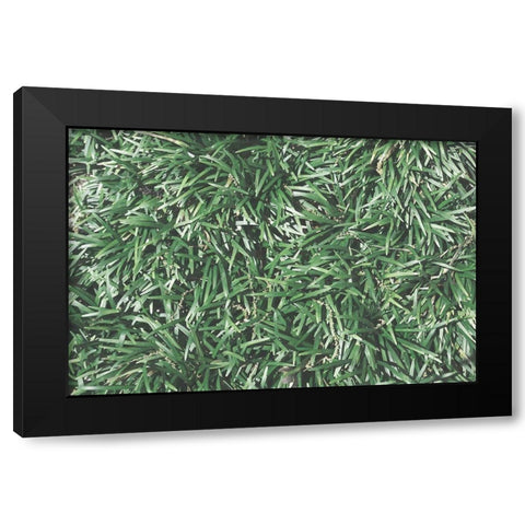 Natures Textures II Black Modern Wood Framed Art Print by Stramel, Renee W.