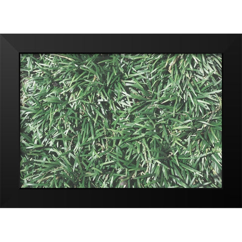 Natures Textures II Black Modern Wood Framed Art Print by Stramel, Renee W.