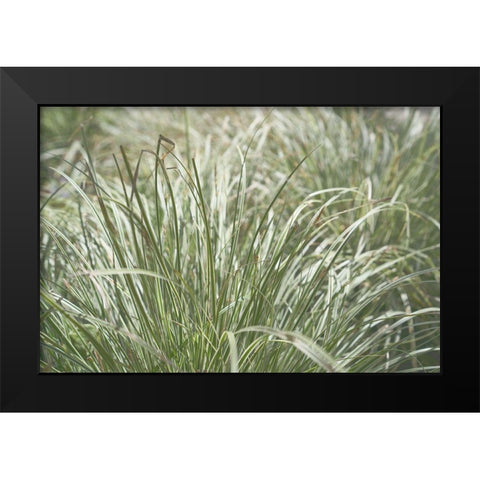 Natures Textures IV Black Modern Wood Framed Art Print by Stramel, Renee W.