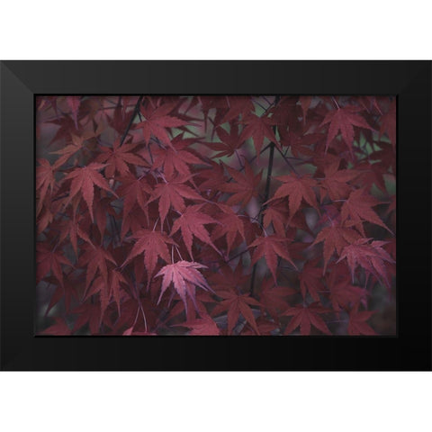 Natures Textures V Black Modern Wood Framed Art Print by Stramel, Renee W.