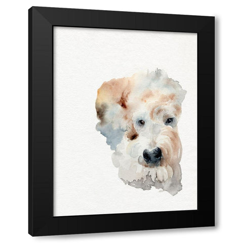 Scruffy Puppy I Black Modern Wood Framed Art Print by Parker, Jennifer Paxton