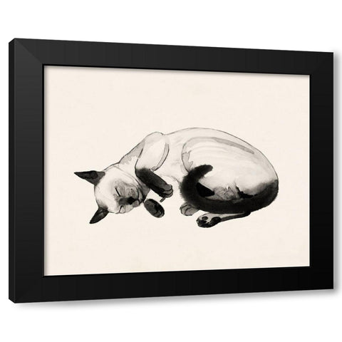 Cat Laze III Black Modern Wood Framed Art Print with Double Matting by Popp, Grace