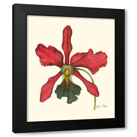 Majestic Orchid IV Black Modern Wood Framed Art Print with Double Matting by Goldberger, Jennifer