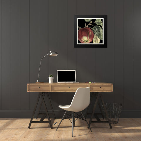 Dramatic Apple Black Modern Wood Framed Art Print by Vision Studio