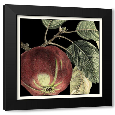 Dramatic Apple Black Modern Wood Framed Art Print with Double Matting by Vision Studio