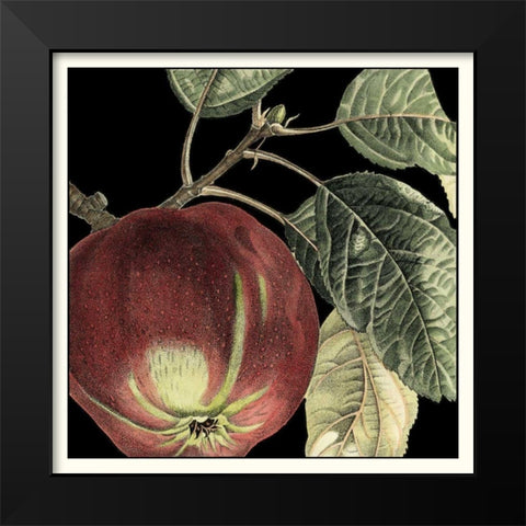 Dramatic Apple Black Modern Wood Framed Art Print by Vision Studio