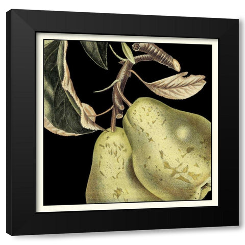 Dramatic Pear Black Modern Wood Framed Art Print with Double Matting by Vision Studio