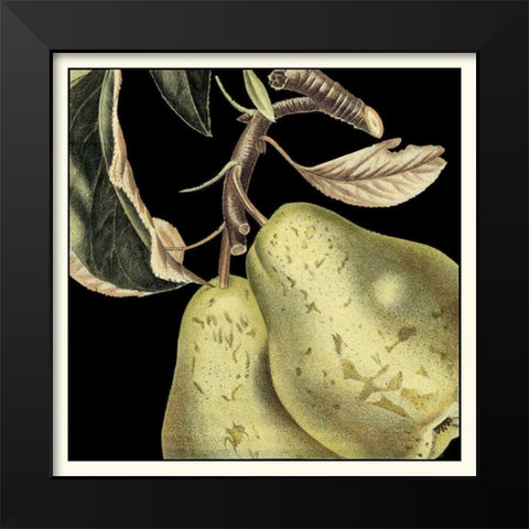 Dramatic Pear Black Modern Wood Framed Art Print by Vision Studio