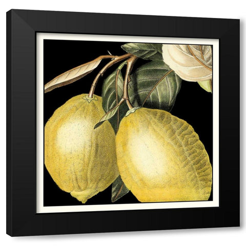 Dramatic Lemon Black Modern Wood Framed Art Print with Double Matting by Vision Studio