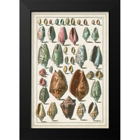 Grand Seba Shells I Black Modern Wood Framed Art Print by Seba, Albertus