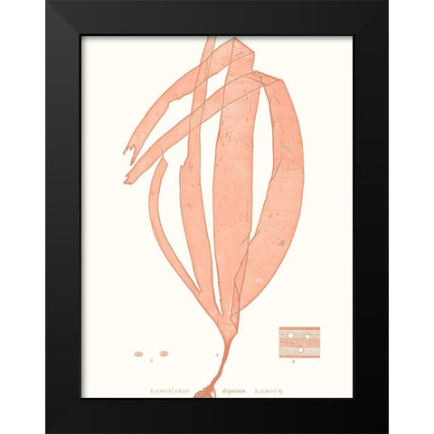 Vivid Coral Seaweed I Black Modern Wood Framed Art Print by Vision Studio
