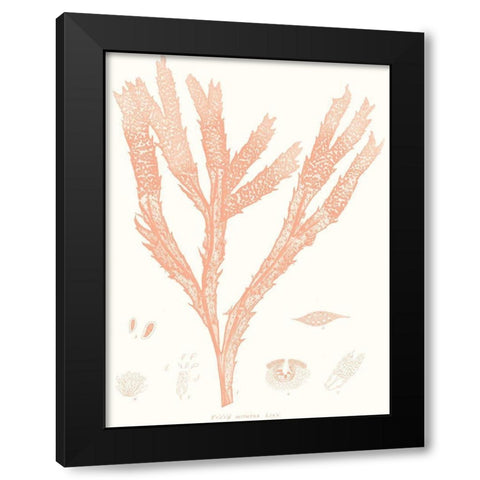 Vivid Coral Seaweed II Black Modern Wood Framed Art Print by Vision Studio