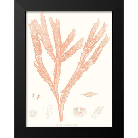 Vivid Coral Seaweed II Black Modern Wood Framed Art Print by Vision Studio