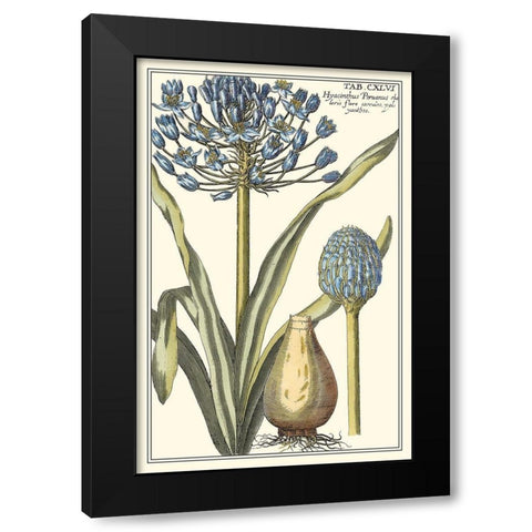 Botanical Beauty II Black Modern Wood Framed Art Print with Double Matting by Vision Studio