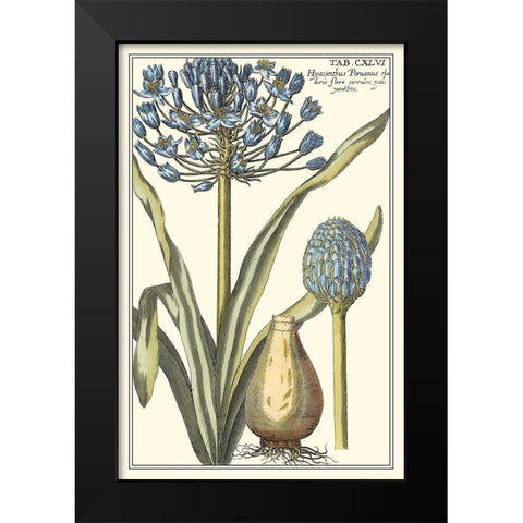 Botanical Beauty II Black Modern Wood Framed Art Print by Vision Studio