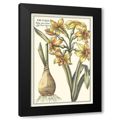 Botanical Beauty IV Black Modern Wood Framed Art Print by Vision Studio