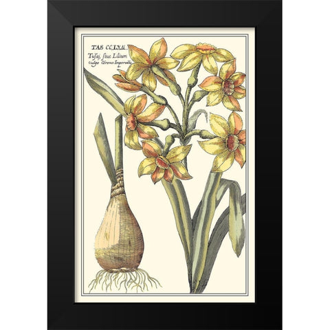 Botanical Beauty IV Black Modern Wood Framed Art Print by Vision Studio