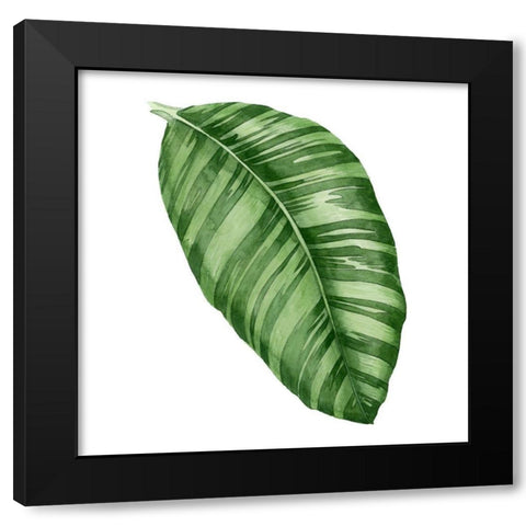 Rainforest Jewel I Black Modern Wood Framed Art Print by Popp, Grace