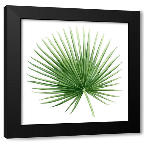 Rainforest Jewel II Black Modern Wood Framed Art Print with Double Matting by Popp, Grace