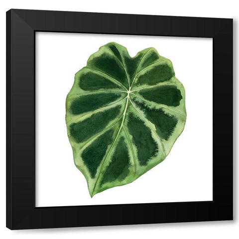 Rainforest Jewel III Black Modern Wood Framed Art Print with Double Matting by Popp, Grace