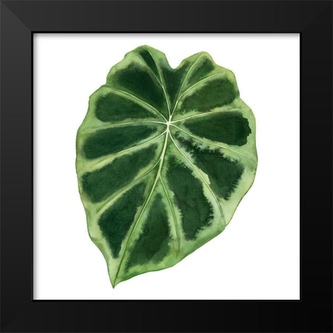 Rainforest Jewel III Black Modern Wood Framed Art Print by Popp, Grace