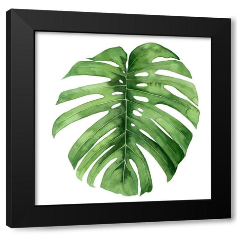 Rainforest Jewel IV Black Modern Wood Framed Art Print by Popp, Grace