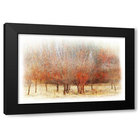 Row of Red Trees Black Modern Wood Framed Art Print by Vest, Chris