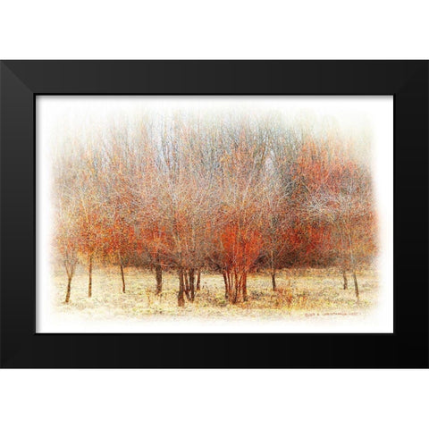 Row of Red Trees Black Modern Wood Framed Art Print by Vest, Chris
