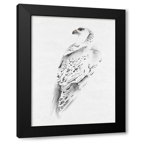 Gyrfalcon I Black Modern Wood Framed Art Print with Double Matting by Wang, Melissa